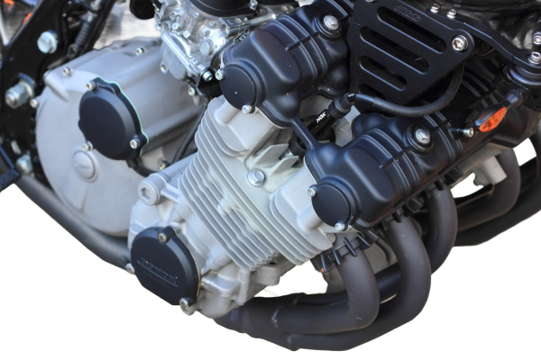 SERVICES & AFFORDABLE PRICE